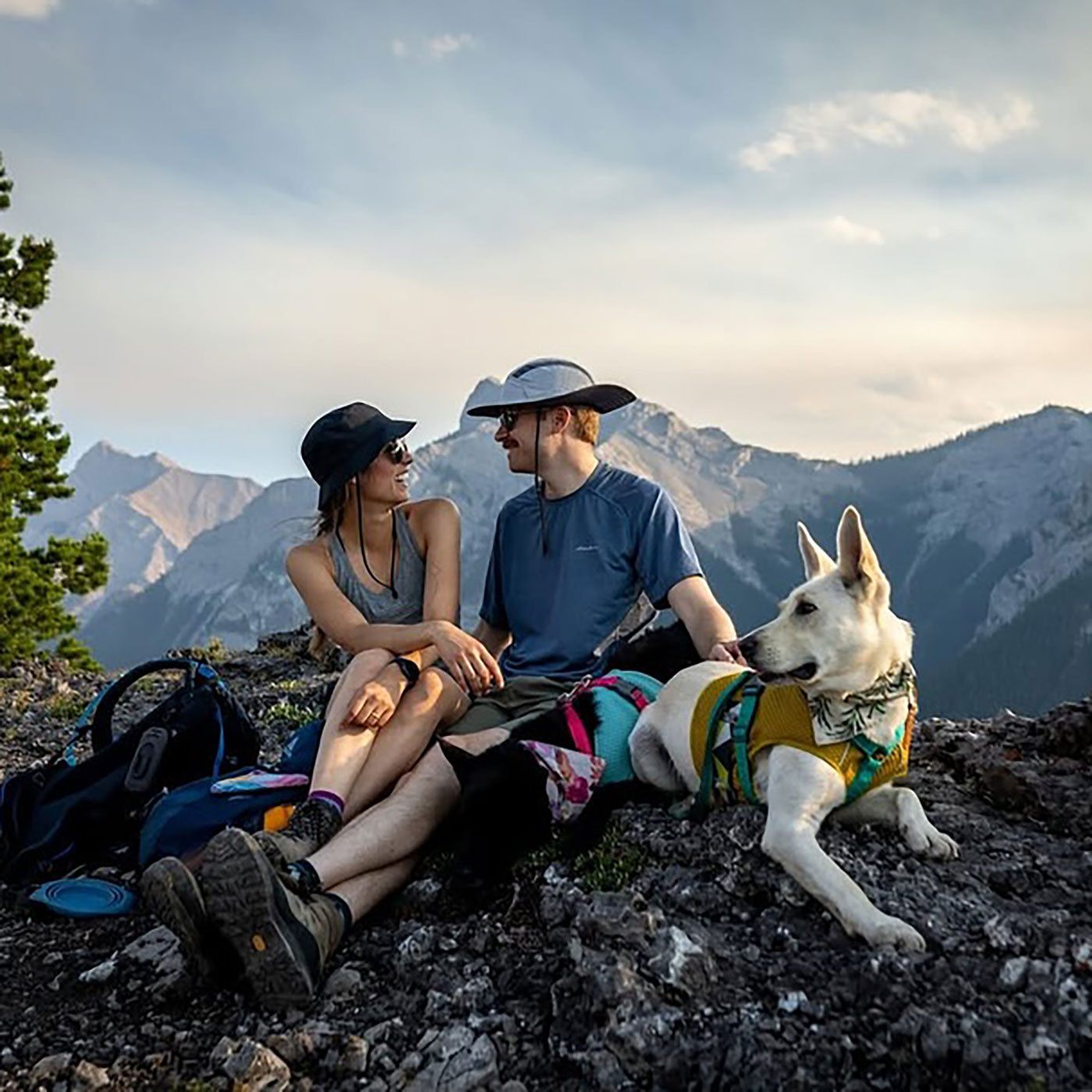 Two people sitting on a mountain with a dog, surrounded by scenic mountains and clear sky.